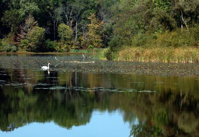 HURON RIVER.jpg